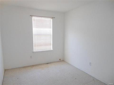 176 Pheasant Point Blvd, O'fallon, MO 63368 photo 23