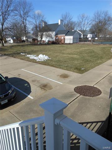 176 Pheasant Point Blvd, O'fallon, MO 63368 photo 31