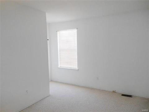 176 Pheasant Point Blvd, O'fallon, MO 63368 photo 22