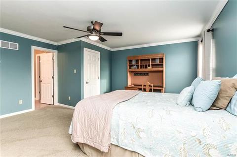 523 Roaring Fork Dr, Grover, MO 63040 photo 28