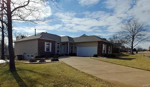 220 Whitmoor Forest Ct, Weldon Spring, MO 63304 photo 1