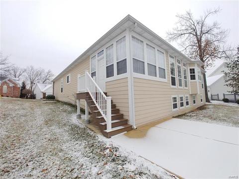 220 Whitmoor Forest Ct, Weldon Spring, MO 63304 photo 21