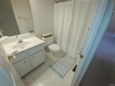 220 Whitmoor Forest Ct, Weldon Spring, MO 63304 photo 13