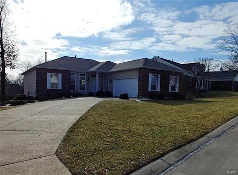 220 Whitmoor Forest Ct, Weldon Spring, MO 63304 photo 20