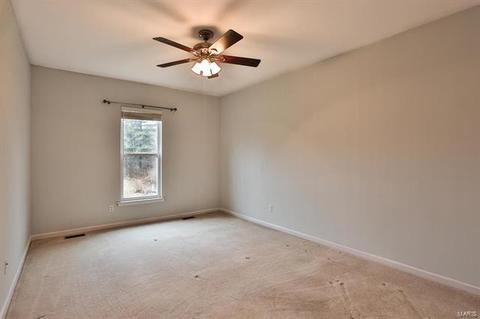 1485 Duke Rd, Augusta, MO 63332 photo 22