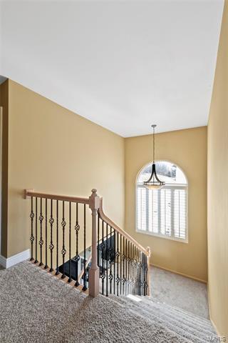 341 Carr Manor Ct, Ballwin, MO 63021 photo 29