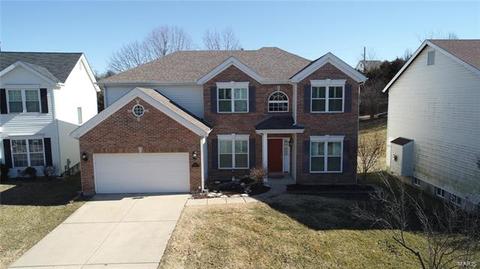 341 Carr Manor Ct, Ballwin, MO 63021 photo 48