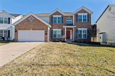341 Carr Manor Ct, Ballwin, MO 63021 photo 1
