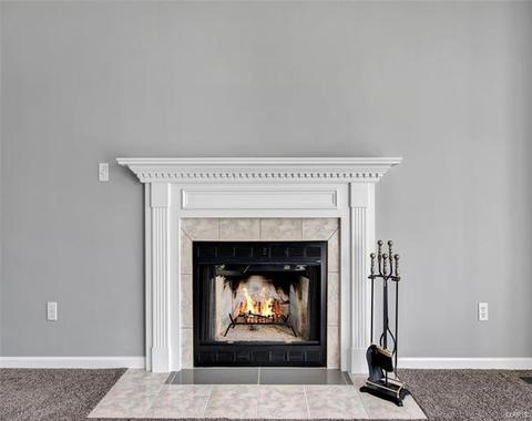 607 Crown Pointe Estates Ct, Wildwood, MO 63021 photo 9