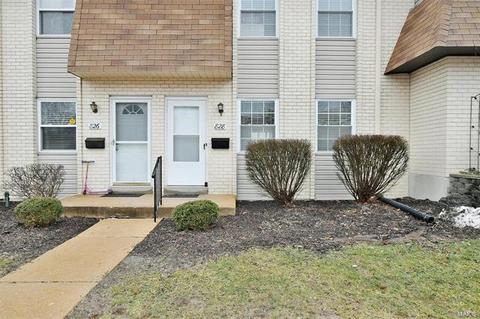 828 Lilybud Ct, Ballwin, MO 63011 photo 29