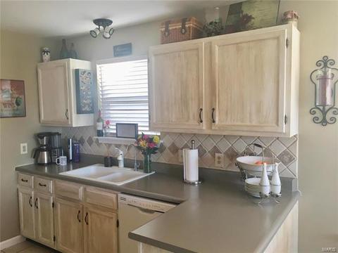 840 Molloy Dr, O'fallon, MO 63366 photo 12