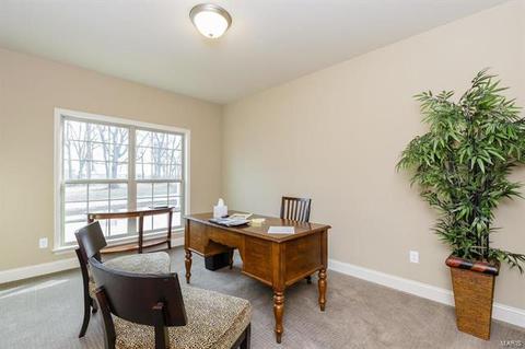 4921 Sammelmann Rd, Weldon Spring, MO 63304 photo 28