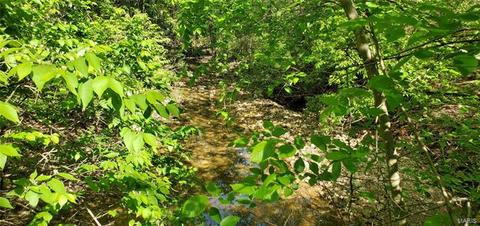 133 Schultz Rd, Foristell, MO 63348 photo 70