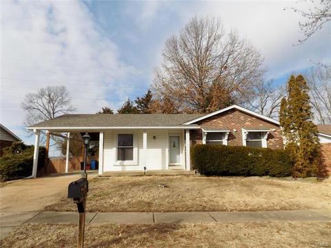 1213 Holgate Dr, Manchester, MO 63021 photo 21