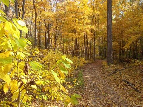 17660 Trailmark Ct, Eureka, MO 63025 photo 18