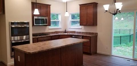 17660 Trailmark Ct, Eureka, MO 63025 photo 5