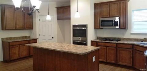 17660 Trailmark Ct, Eureka, MO 63025 photo 6