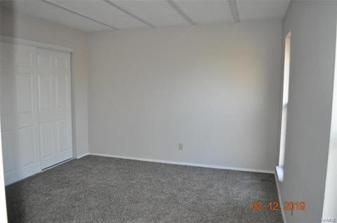 72 Muir St, Eureka, MO 63025 photo 10