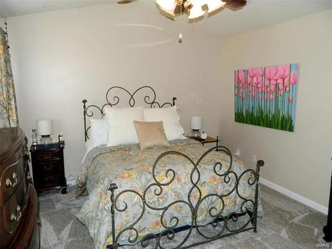 22 Red Cedar Parc Ct, O'fallon, MO 63368 photo 19