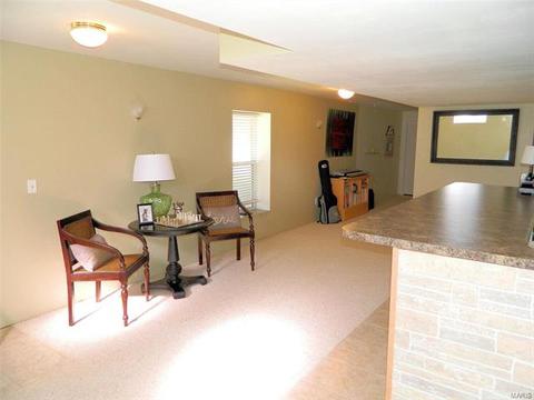 22 Red Cedar Parc Ct, O'fallon, MO 63368 photo 26