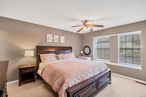 1415 Greenfield Crossing Ct, Ballwin, MO 63021 photo 18
