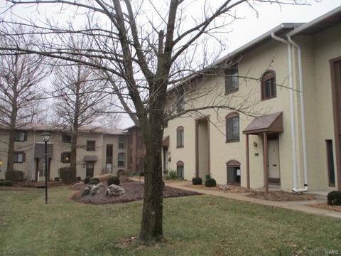 176 Carmel Woods, Ellisville, MO 63021 photo 4