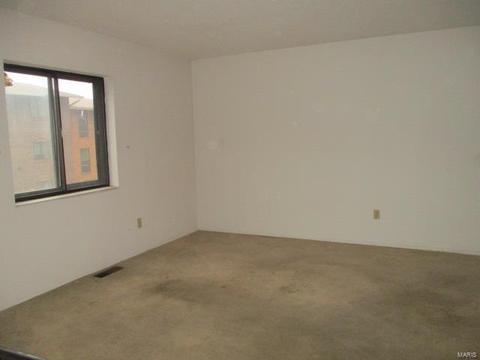 176 Carmel Woods, Ellisville, MO 63021 photo 17