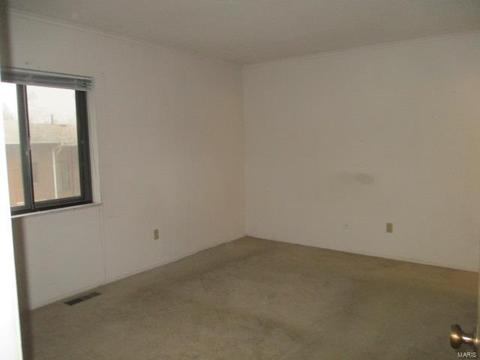 176 Carmel Woods, Ellisville, MO 63021 photo 16