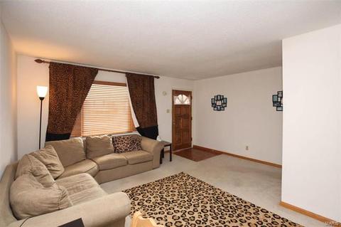 707 Wild Walnut Ln, Manchester, MO 63021 photo 4