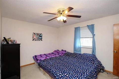 707 Wild Walnut Ln, Manchester, MO 63021 photo 8