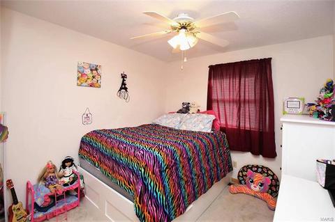 707 Wild Walnut Ln, Manchester, MO 63021 photo 11