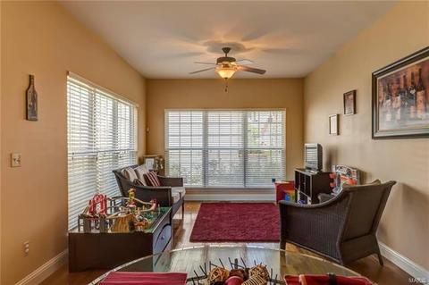 27 Clear Mdws, O'fallon, MO 63366 photo 5