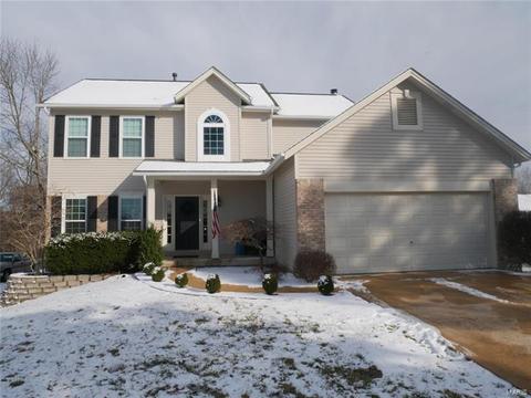 802 Canary Dr, Manchester, MO 63021 photo 1
