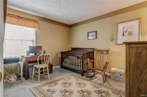 514 Oak Bridge Dr, Ballwin, MO 63021 photo 23