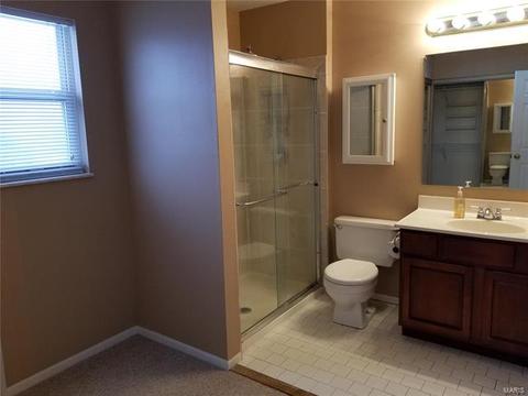 267 Brougham Dr, O'fallon, MO 63368 photo 13