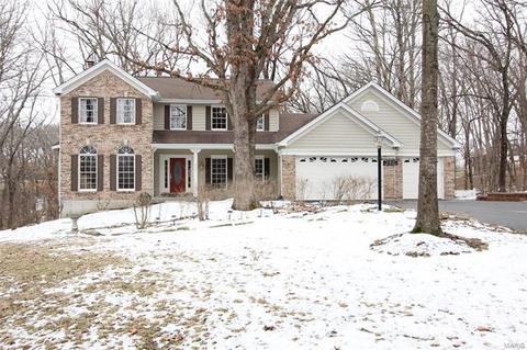 1422 Pine Ridge Estates Ct, Wildwood, MO 63021 photo 29