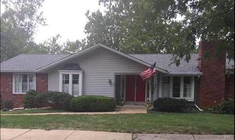 485 Sunstone Dr, Ballwin, MO 63011 photo 20