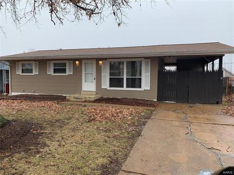 11112 Patsy, Saint Louis, MO 63123 photo 1