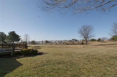 1216 Red Orchard Ct, O'fallon, MO 63368 photo 21