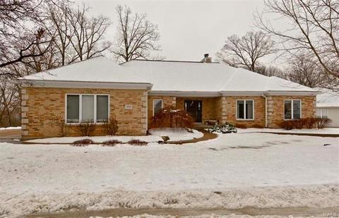 16023 Forest Valley Dr, Ballwin, MO 63021 photo 1