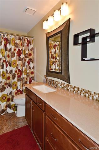 16023 Forest Valley Dr, Ballwin, MO 63021 photo 35