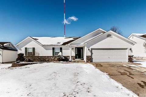 137 Grey Wolf Dr, O'fallon, MO 63366 photo 1