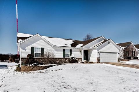 137 Grey Wolf Dr, O'fallon, MO 63366 photo 24