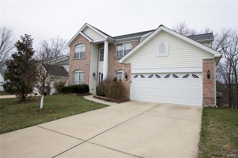 247 Arbor Trl, Ballwin, MO 63021 photo 23