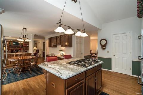 16223 Forest Meadows Dr, Chesterfield, MO 63005 photo 16