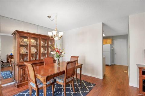 1313 Tahoe Valley Ct, Ballwin, MO 63021 photo 16