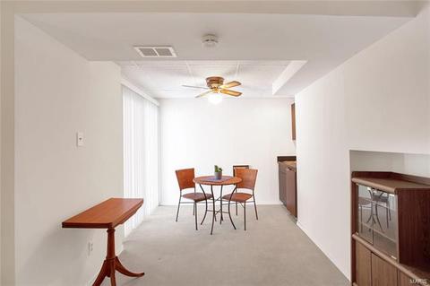 1313 Tahoe Valley Ct, Ballwin, MO 63021 photo 36