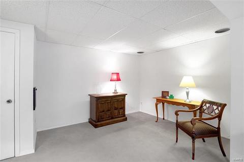 1313 Tahoe Valley Ct, Ballwin, MO 63021 photo 35