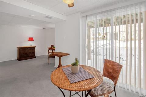 1313 Tahoe Valley Ct, Ballwin, MO 63021 photo 40