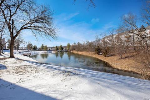 1313 Tahoe Valley Ct, Ballwin, MO 63021 photo 13